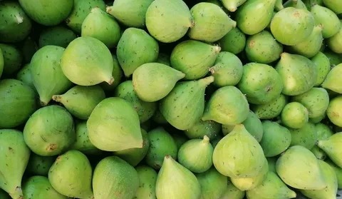 تصویر 4 از انجیر استهبان درجه یک با کیفیت عالی مناسب استفاده روزانه